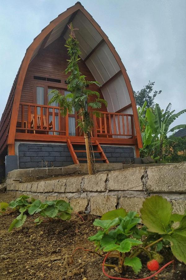 Family Rinjani Bungalow Sajang Ngoại thất bức ảnh