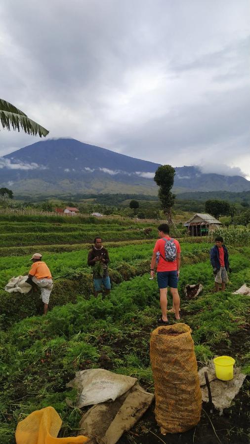 Family Rinjani Bungalow Sajang Ngoại thất bức ảnh