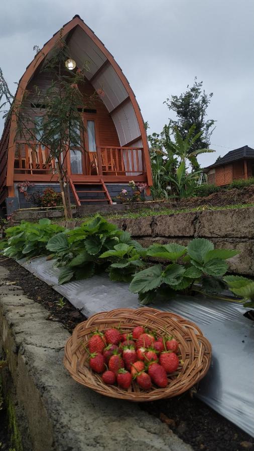 Family Rinjani Bungalow Sajang Ngoại thất bức ảnh