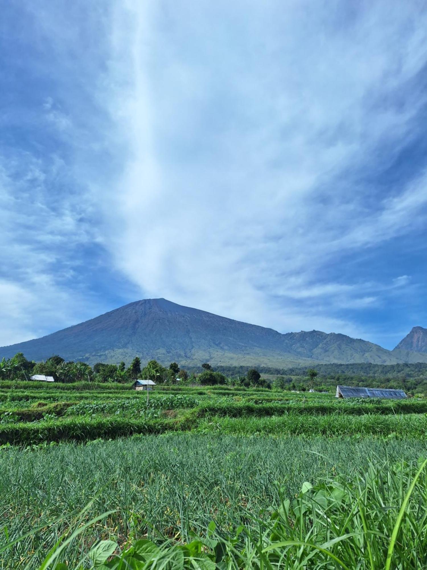 Family Rinjani Bungalow Sajang Ngoại thất bức ảnh