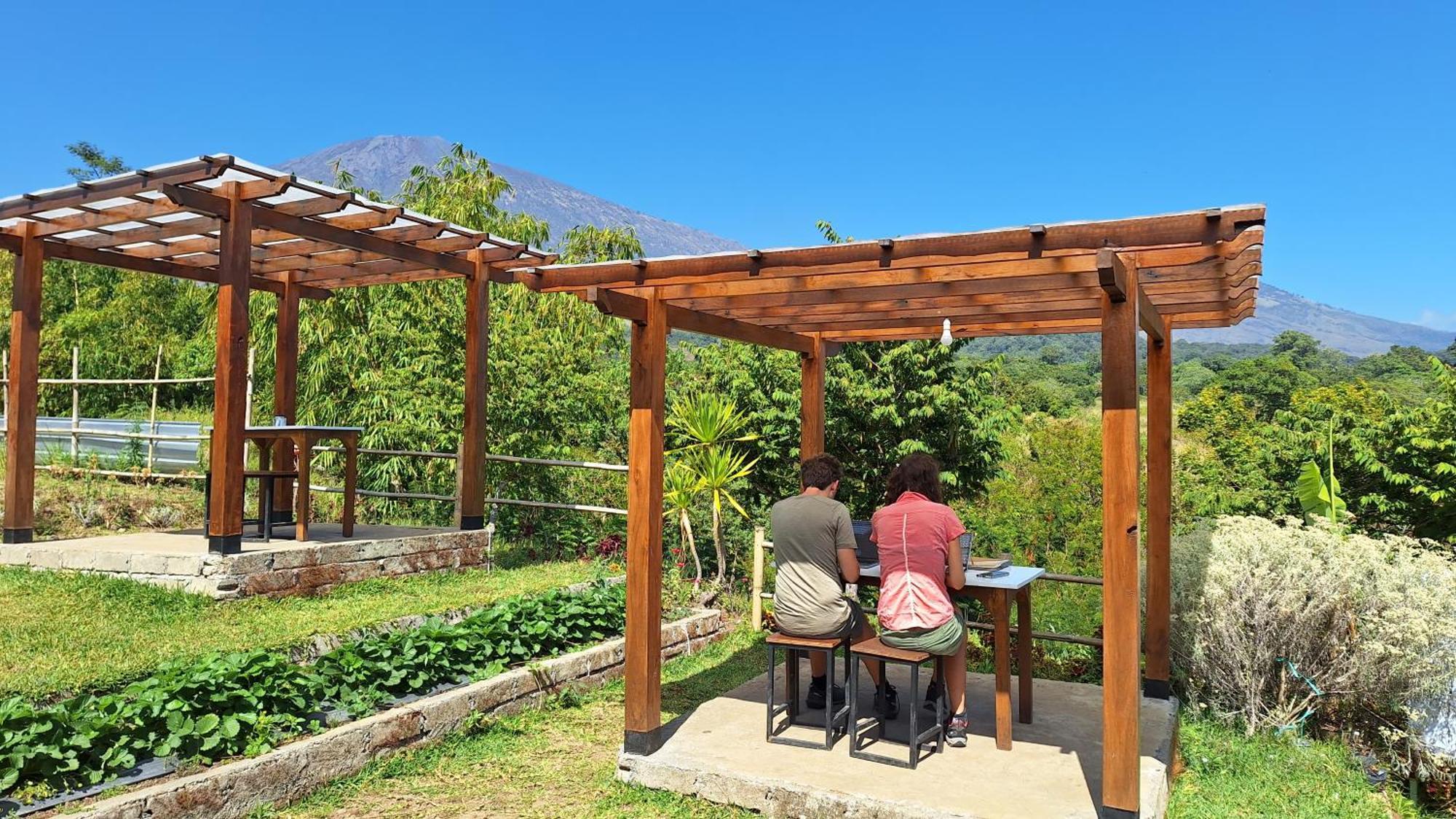 Family Rinjani Bungalow Sajang Ngoại thất bức ảnh